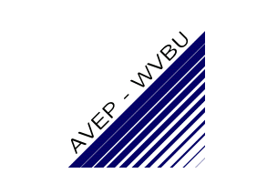 logo footer